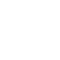 Hair Transplant Results